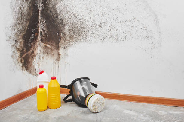 Crawl Space Mold Removal in Brooklyn Heights, OH