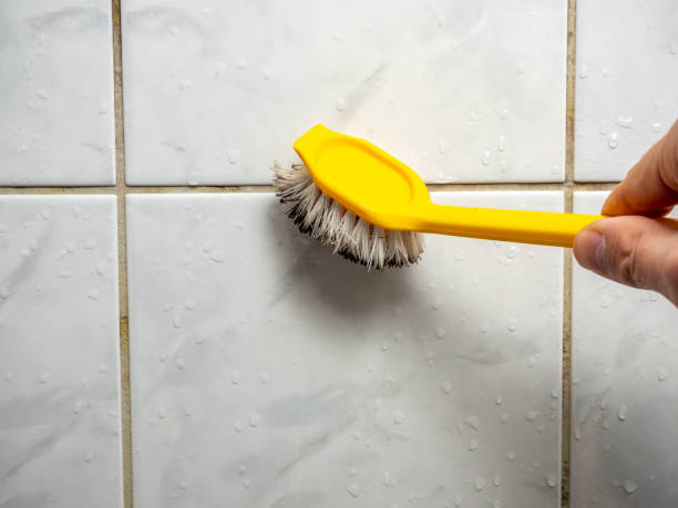 Best Best Mold Removal Companies  in Brooklyn Heights, OH