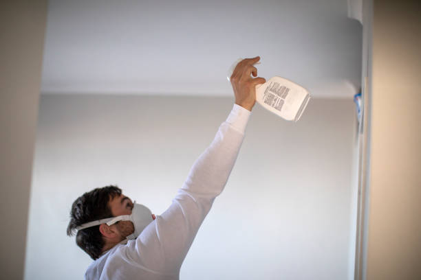 Home Mold Removal in Brooklyn Heights, OH