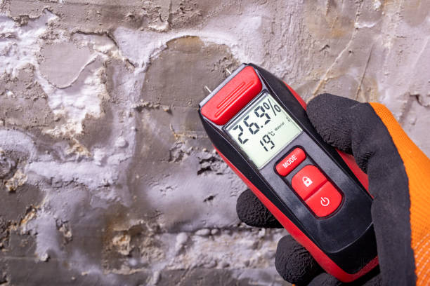 Home Mold Removal in Brooklyn Heights, OH