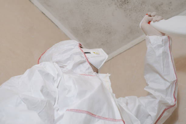 Home Mold Removal in Brooklyn Heights, OH